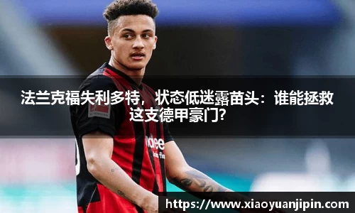 BB贝博登录入口