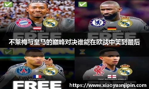 BB贝博登录入口