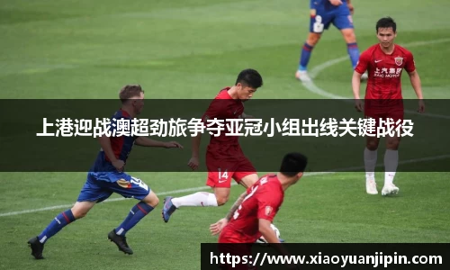 BB贝博登录入口