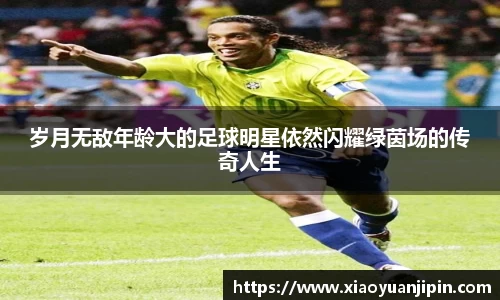 BB贝博登录入口