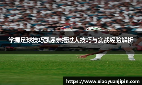 BB贝博登录入口