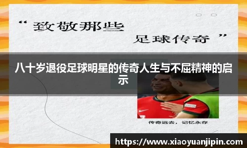 BB贝博登录入口