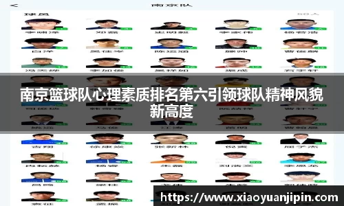 BB贝博登录入口