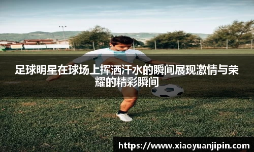 BB贝博登录入口