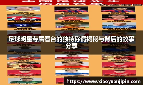 足球明星专属看台的独特称谓揭秘与背后的故事分享